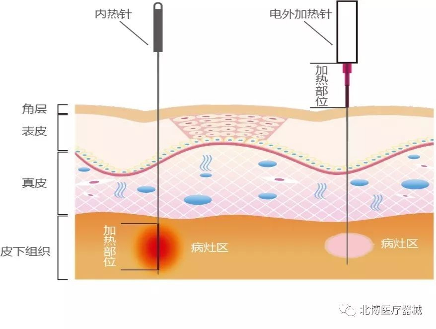 健康時報1